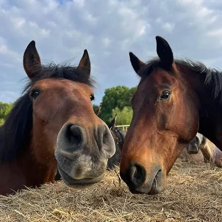 Casa di campagna Bus Insolite *