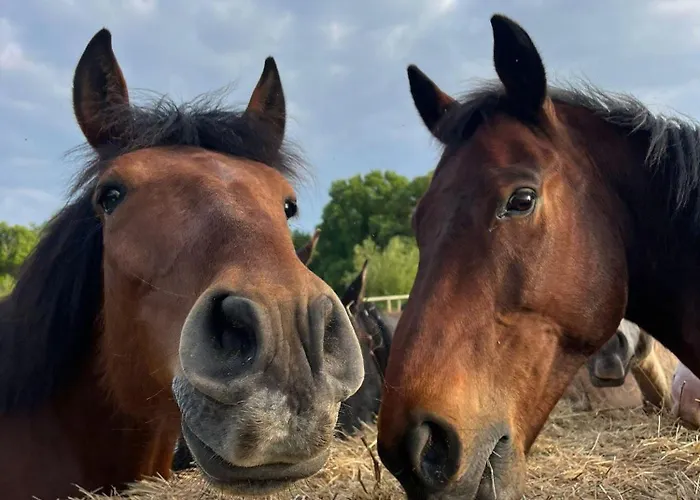 Casa rural Bus Insolite *