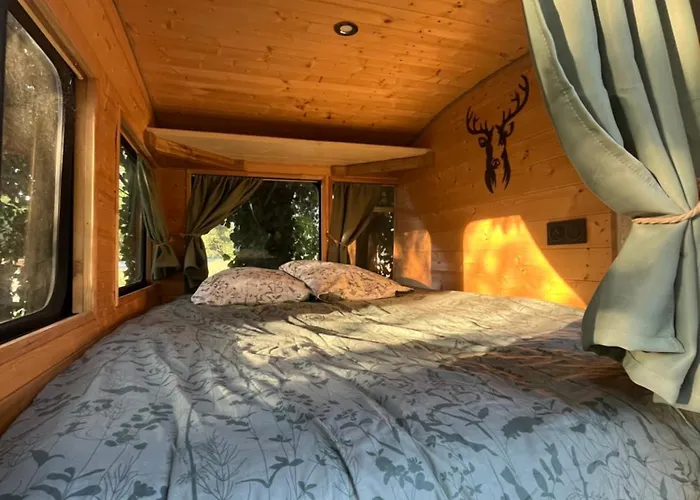 Bus Insolite Mignaloux-Beauvoir